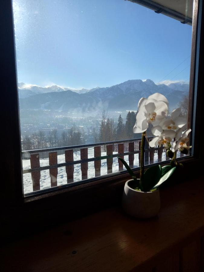 Niebianska Gran Apartamento Zakopane Exterior foto